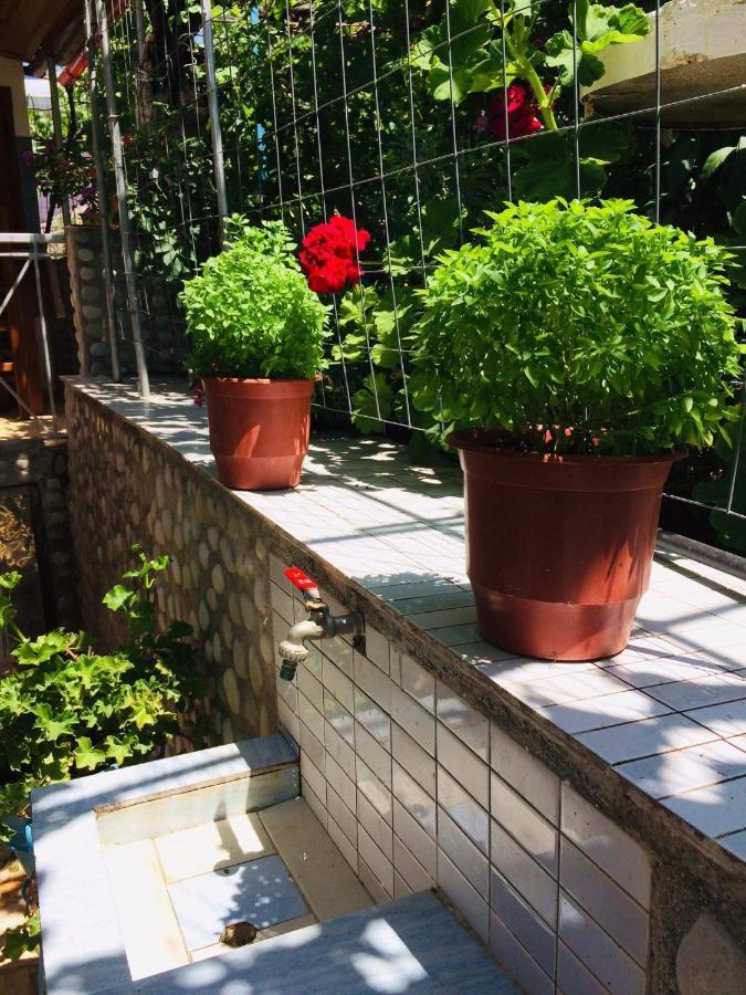 Relaxation Place Hotel Himare Bagian luar foto