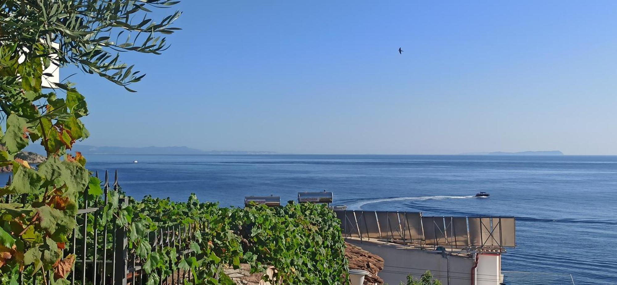 Relaxation Place Hotel Himare Bagian luar foto