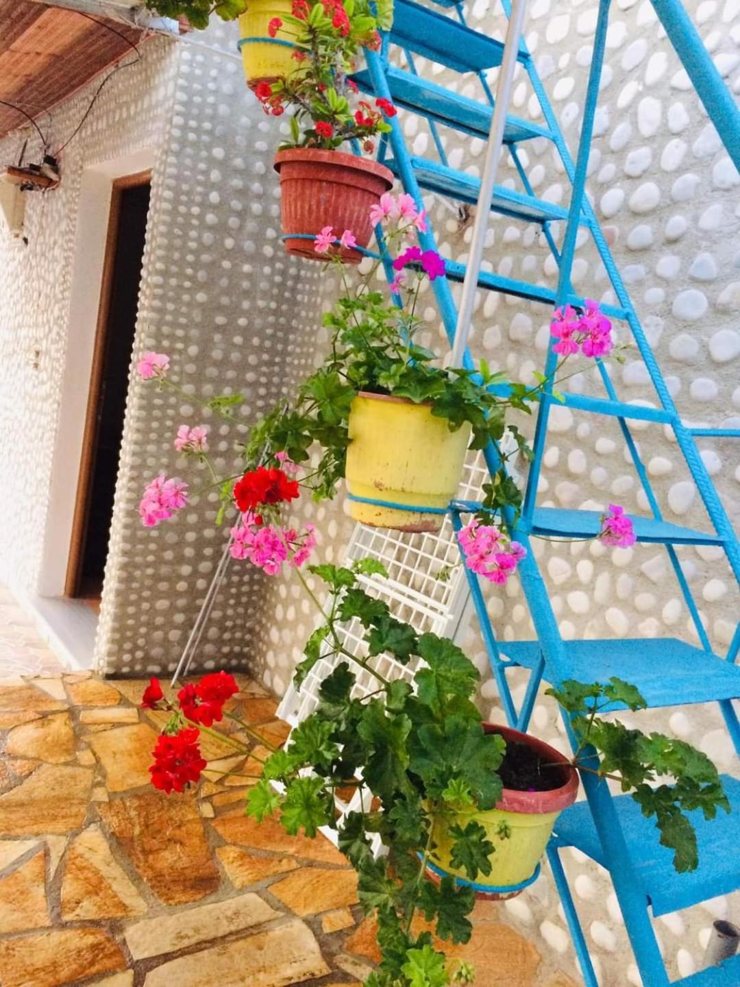 Relaxation Place Hotel Himare Bagian luar foto